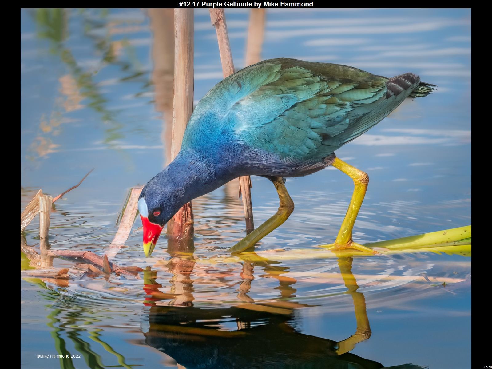 IMG013 (1) (1) (1) (1) (1) (1) (1) (1) (1) (1) (1) (1) (1) (1) (1) (1) (1) (1) (1) (1) (1) (1) (1) (1) (1) (1) (1) (1) (1) (1) (1) (1) (1) (1)