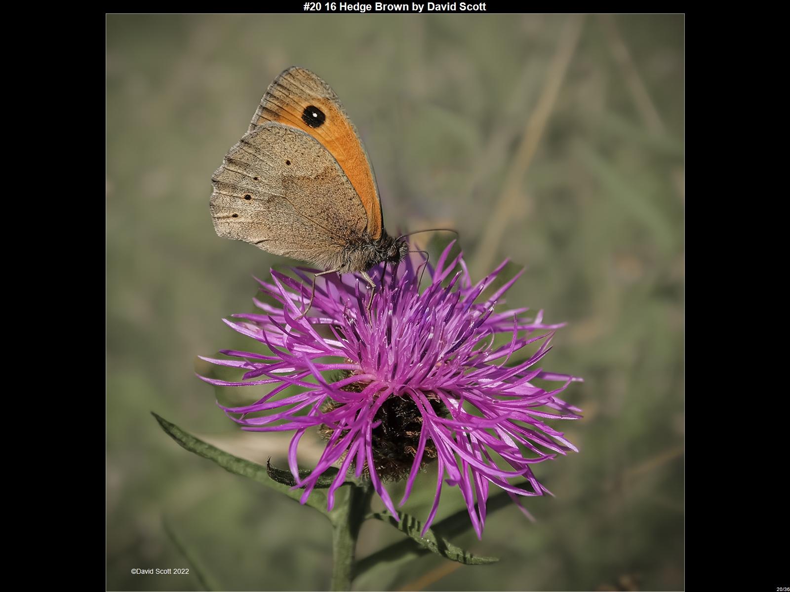 IMG020 (1) (1) (1) (1) (1) (1) (1) (1) (1) (1) (1) (1) (1) (1) (1) (1) (1) (1) (1) (1) (1) (1) (1) (1) (1) (1) (1) (1) (1) (1) (1) (1)