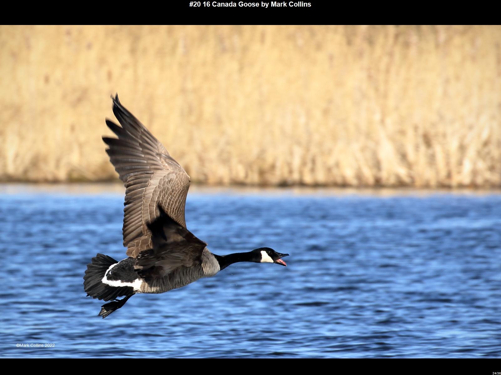 IMG024 (1) (1) (1) (1) (1) (1) (1) (1) (1) (1) (1) (1) (1) (1) (1) (1) (1) (1) (1) (1) (1) (1) (1) (1) (1) (1) (1) (1) (1) (1)