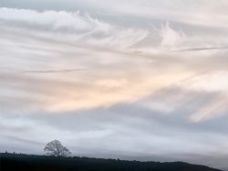 01gostelow1955@gmail[com~PDI~Print 1~1