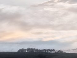 02gostelow1955@gmail[com~PDI~Print 2~1