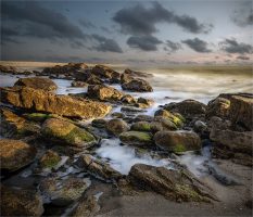 03rafphoto091@yahoo[com~PDI~Bottom Left~1