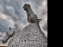 12gostelow1955@gmail[com~PDI~Bottom Right~1