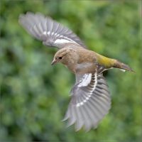 14mark[a[collins@btinternet[com~PDI~Print 2~1