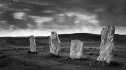 19gnp@suttonn[plus[com~PDI~Print 1~1