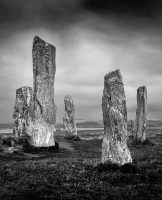 20gnp@suttonn[plus[com~PDI~Print 2~1