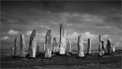 21gnp@suttonn[plus[com~PDI~Print 3~1