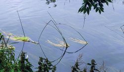 25jeanvenning@talktalk[net~PDI~Top Left~1