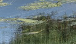 26jeanvenning@talktalk[net~PDI~Top Right~1