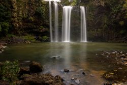 26mglenister@aol[com~PDI~Print 2~1