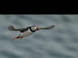 29gnp@suttonn[plus[com~PDI~Top Left~1