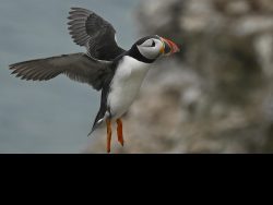 32gnp@suttonn[plus[com~PDI~Bottom Right~1