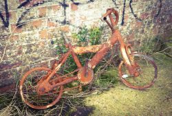 38mary@dominey[me[uk~PDI~Top Right~1