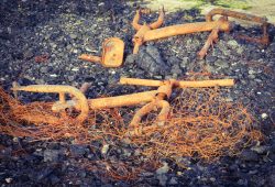 39mary@dominey[me[uk~PDI~Bottom Left~1