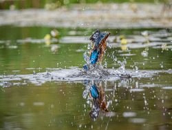 45anthea[saunders@gmail[com~PDI~Portfolio~1