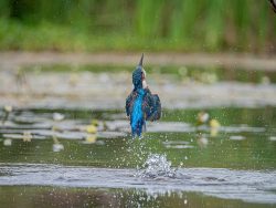 46anthea[saunders@gmail[com~PDI~Top Right~1