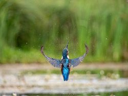 47anthea[saunders@gmail[com~PDI~Bottom Left~1