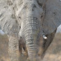 53dvlcom[mail@gmail[com~PDI~Top Left~1