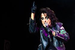 62lady[gigger@gmail[com~PDI~Top Right~1