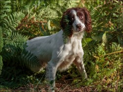 Flossy wasn't sure about her hair extension.jpg