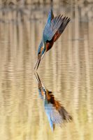 A Breath Away from the Water
