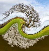 michael[hammond@btinternet[com~PDI~Challenge Cup~1