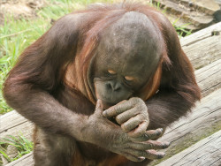 1-Brian Hunt-And What Comes After Five Then