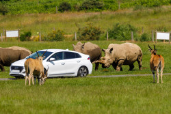 2-Mark-Glenister-Charging-the-Ev