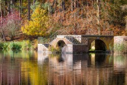 A-Autumn Colour at Rushmere