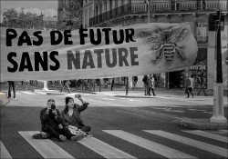 B-No Future without Nature