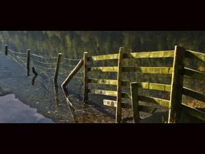 BUTTERMERE MORNING-5
