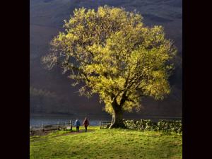 BUTTERMERE MORNING-6