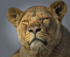 Brian-Hunt - Come-Here-and-Say-That