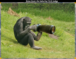 Brian-HuntOn-Safari-by-T.H.E