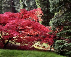 Chris Davies Autumn Colours