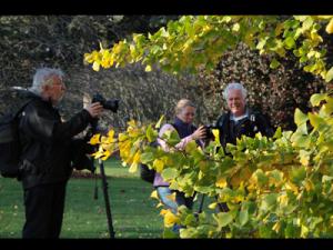 Chris Danzelman - Kew