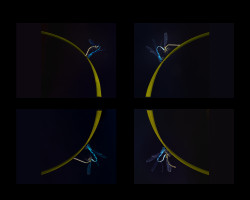 D-Mike-Hammond-Moonlight-Reflections