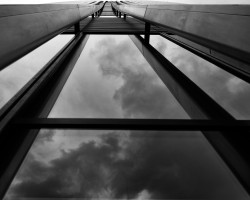 D9-Looking Up~Tim Walton