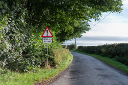 Dave Collins - Other Crisps on the Verge