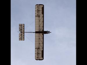 Eon Primary Glider