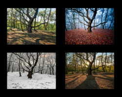 G-David-Scott-Just-One-Year