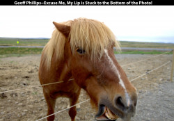 Geoff-PhillipsExcuse-Me-My-Lip-is-Stuck-to-the-Bottom-of-the-Photo