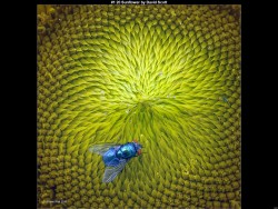 IMG000 (1) (1) (1) (1) (1) (1) (1) (1) (1) (1) (1) (1) (1) (1) (1)