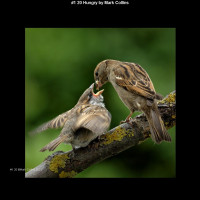 IMG000 (1) (1) (1) (1) (1) (1) (1) (1) (1) (1) (1) (1) (1) (1) (1) (1) (1) (1)