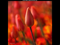 IMG000 (1) (1) (1) (1) (1) (1) (1) (1) (1) (1) (1) (1) (1) (1) (1) (1) (1) (1) (1)