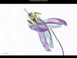 IMG000 (1) (1) (1) (1) (1) (1) (1) (1) (1) (1) (1) (1) (1) (1) (1) (1) (1) (1) (1) (1)