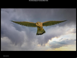 IMG000 (1) (1) (1) (1) (1) (1) (1) (1) (1) (1) (1) (1) (1) (1) (1) (1) (1) (1) (1) (1) (1) (1) (1) (1) (1) (1) (1) (1) (1) (1)