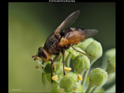 IMG000 (1) (1) (1) (1) (1) (1) (1) (1) (1) (1) (1) (1) (1) (1) (1) (1) (1) (1) (1) (1) (1) (1) (1) (1) (1) (1) (1) (1) (1) (1) (1) (1) (1) (1) (1) (1) (1) (1)