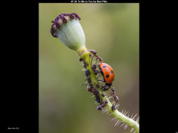 IMG000 (1) (1) (1) (1) (1) (1) (1) (1) (1) (1) (1) (1) (1) (1) (1) (1) (1) (1) (1) (1) (1) (1) (1) (1) (1) (1) (1) (1) (1) (1) (1) (1) (1) (1) (1) (1) (1) (1) (1) (1) (1) (1) (1) (1) (1) (1) (1) (1) (1) (1) (1) (1) (1)