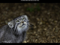 IMG000 (1) (1) (1) (1) (1) (1) (1) (1) (1) (1) (1) (1) (1) (1) (1) (1) (1) (1) (1) (1) (1) (1) (1) (1) (1) (1) (1) (1) (1) (1) (1) (1) (1) (1) (1) (1) (1) (1) (1) (1) (1) (1) (1) (1) (1) (1) (1) (1) (1) (1) (1) (1) (1) (1) (1)